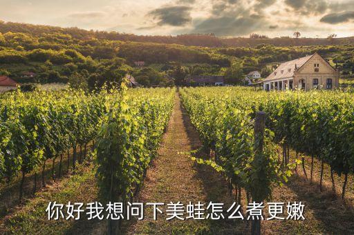 美蛙，你好我想问下美蛙怎么煮更嫩