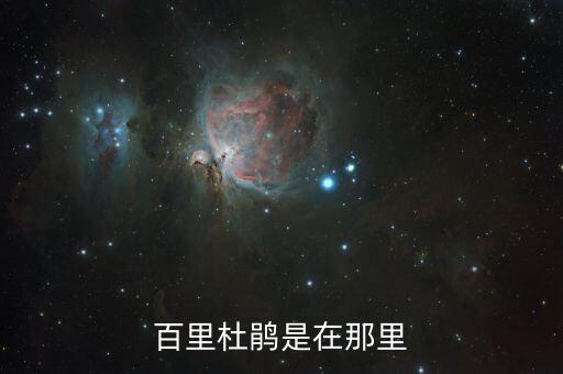 百里杜鹃是在那里