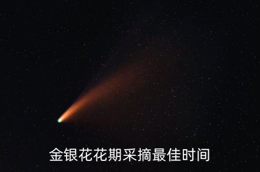 金银花花期采摘最佳时间