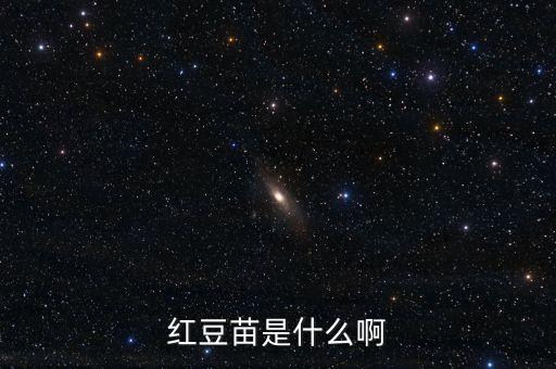红豆苗，红豆苗可以同时种好多个吗