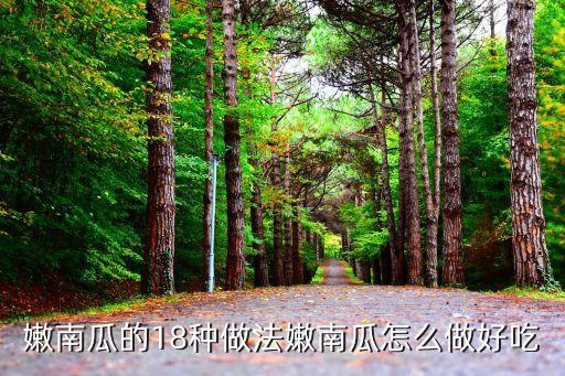嫩南瓜，南瓜老的和嫩的南瓜有什么区别和作用