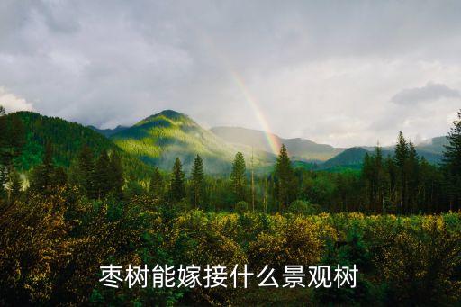 枣树能嫁接什么景观树