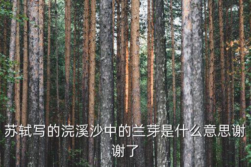 苏轼写的浣溪沙中的兰芽是什么意思谢谢了