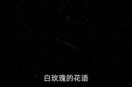 白玫瑰的花语