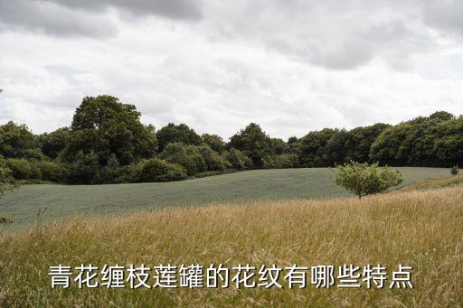 缠枝牡丹图片，中国古典图案的名称有哪些