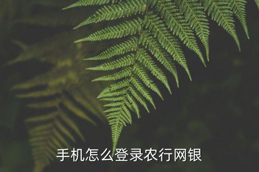 农业app怎么登陆，苹果手机农业掌上银行怎么登录