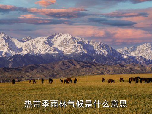 热带季雨林气候是什么意思