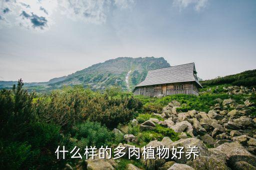 什么样的多肉植物好养