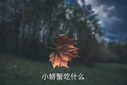 小河蟹，怎样养小河蟹