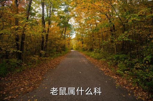 老鼠属什么科