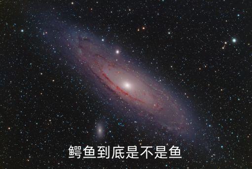 鳄鱼到底是不是鱼