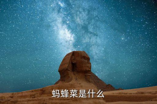 马蜂菜，马蜂菜是良性还是热性