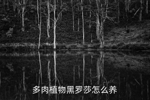 多肉植物黑罗莎怎么养