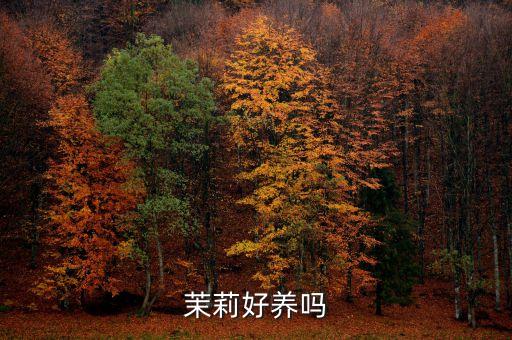 茉莉花好养吗，茉莉好养吗