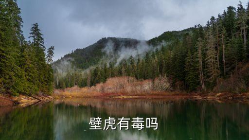 壁虎有毒吗