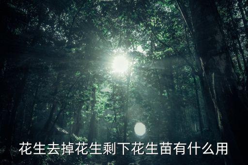 花生去掉花生剩下花生苗有什么用