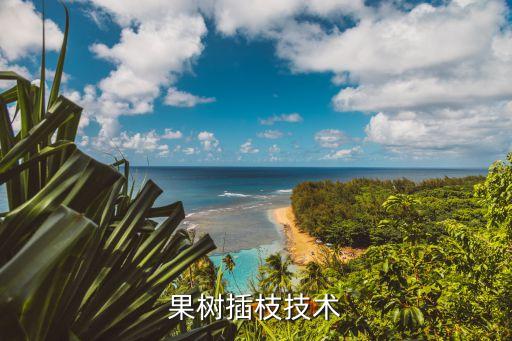 果树插枝技术