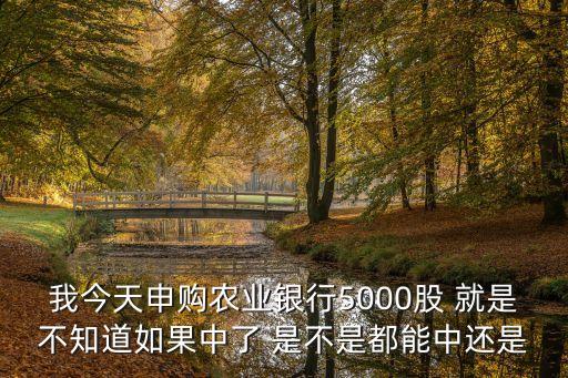 农业eft怎么买了就阴跌，为什么农业银行白银我一买回来就一降价