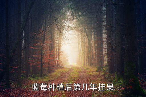 蓝莓几年结果，蓝莓种植后第几年挂果