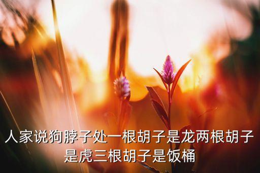 人家说狗脖子处一根胡子是龙两根胡子是虎三根胡子是饭桶