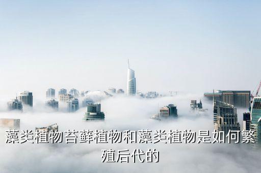 苔藓怎么繁殖，怎样让盆景的苔藓快速繁殖