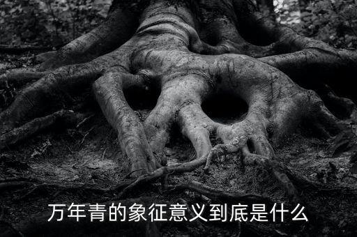 万年青的象征意义到底是什么