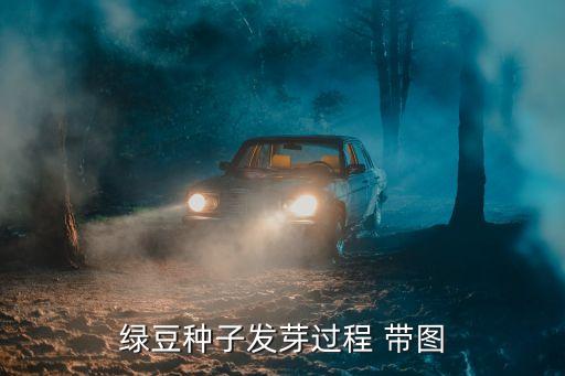 绿豆种子发芽过程 带图