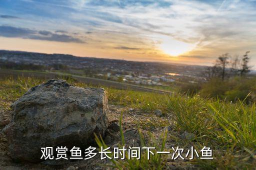鱼多久生一次小鱼，鱼产小鱼多长时间一次