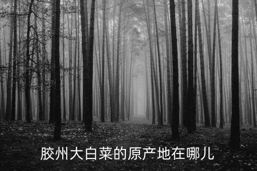 胶州大白菜的原产地在哪儿