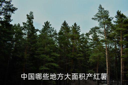 红薯产地，中国哪些地方大面积产红薯