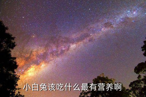 小白兔该吃什么最有营养啊