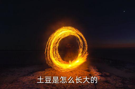 土豆是怎么长大的