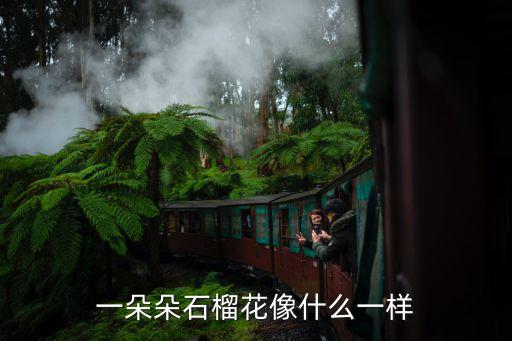 一朵朵石榴花像什么一样