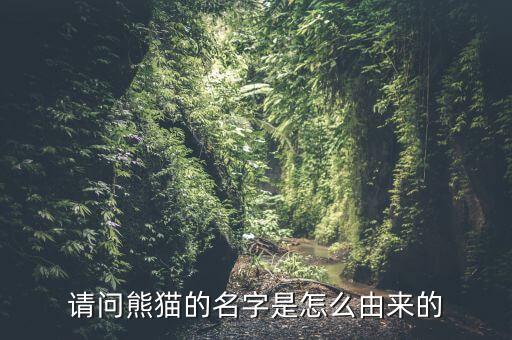 请问熊猫的名字是怎么由来的