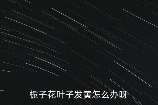 栀子花叶子发黄怎么办呀