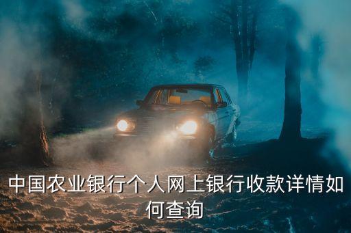 农业收款怎么看收钱，中国农业银行个人网上银行收款详情如何查询
