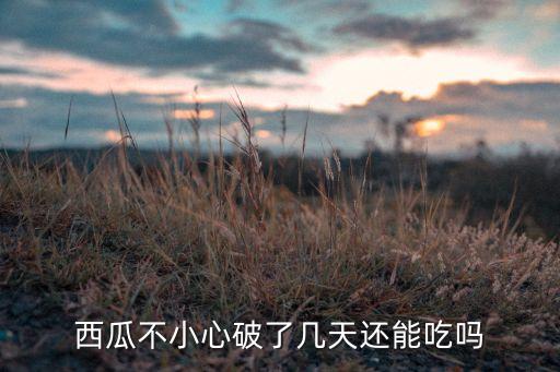 西瓜烂了，西瓜腐烂是甚么变化