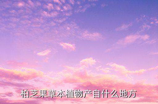 柏芝果草本植物产自什么地方