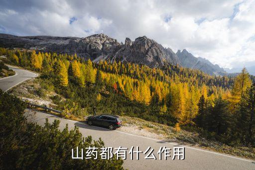 山药的作用，山药都有什么作用