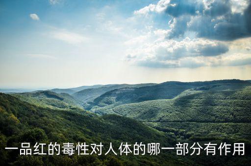 一品红的毒性对人体的哪一部分有作用
