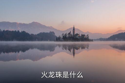 火龙珠，火龙珠是什么