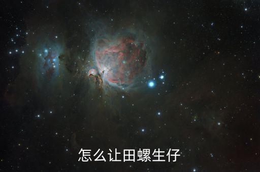 怎么让田螺生仔