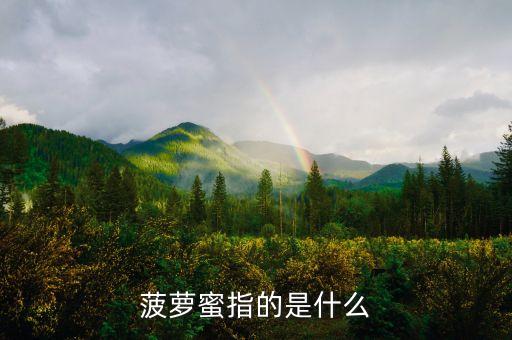 菠萝蜜指的是什么