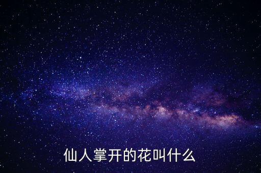 仙人掌的花，仙人掌开什么花