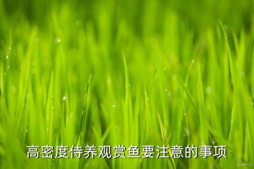 高密度养殖鱼，高密度侍养观赏鱼要注意的事项