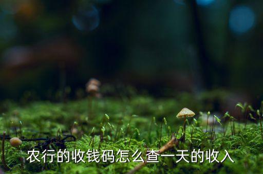 农行的收钱码怎么查一天的收入