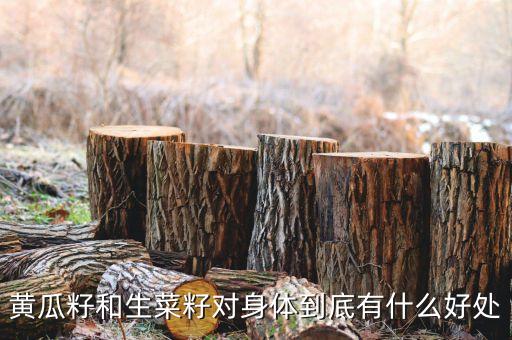 生菜籽，生菜籽有副作用吗