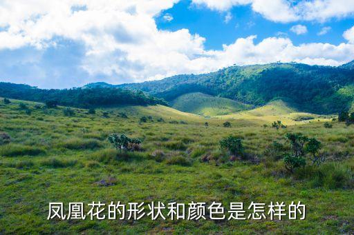 凤凰花的形状和颜色是怎样的