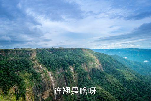连翘，连翘是药材还是花卉