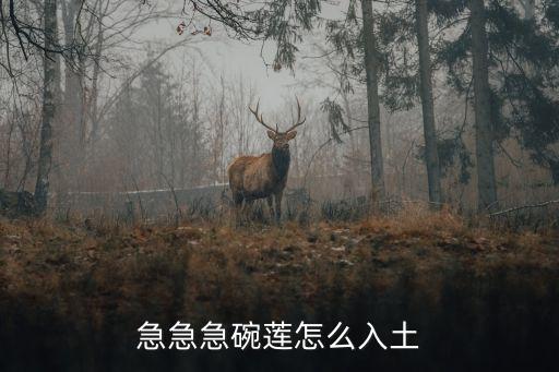 碗莲入泥视频教程，我前两天买 了好多碗莲有芽但水深1米多没泥放水中应该 是漂着